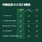 Tableau : moustiquaire magnétique comparée au spray et à la porte fermée